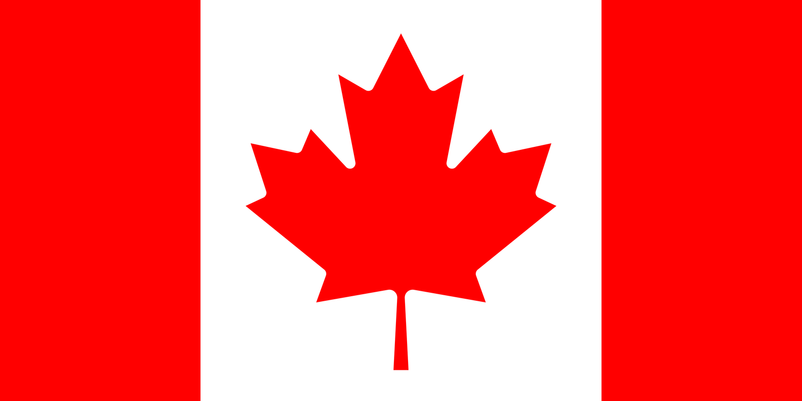 UAE Flag